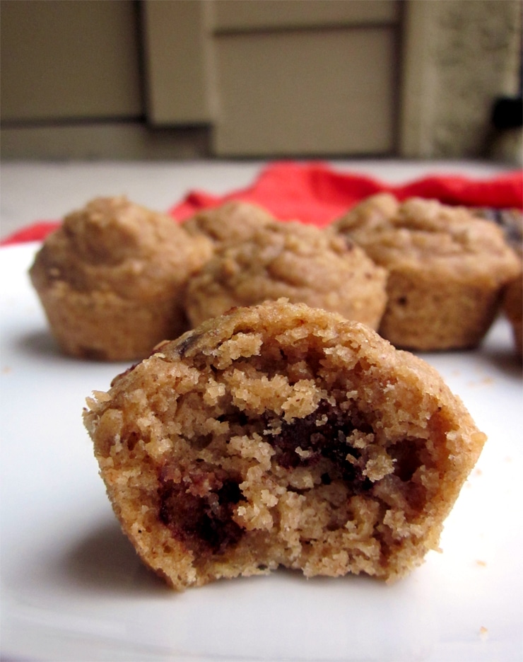 Almond Butter Quinoa Oat Mini Muffins