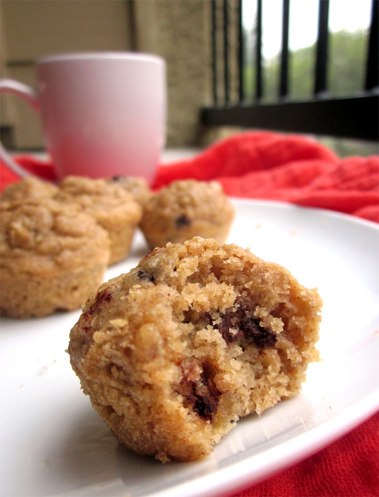 Almond Butter Quinoa Oat Mini Muffins