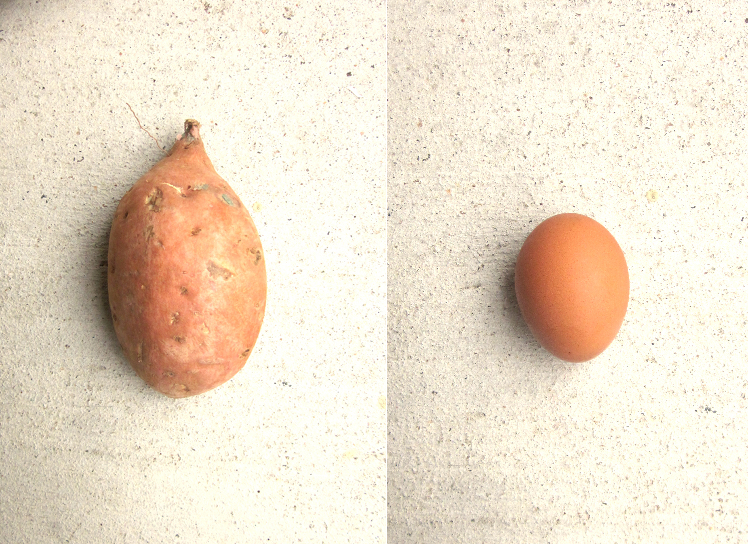 The Sweet Potato and the Egg.