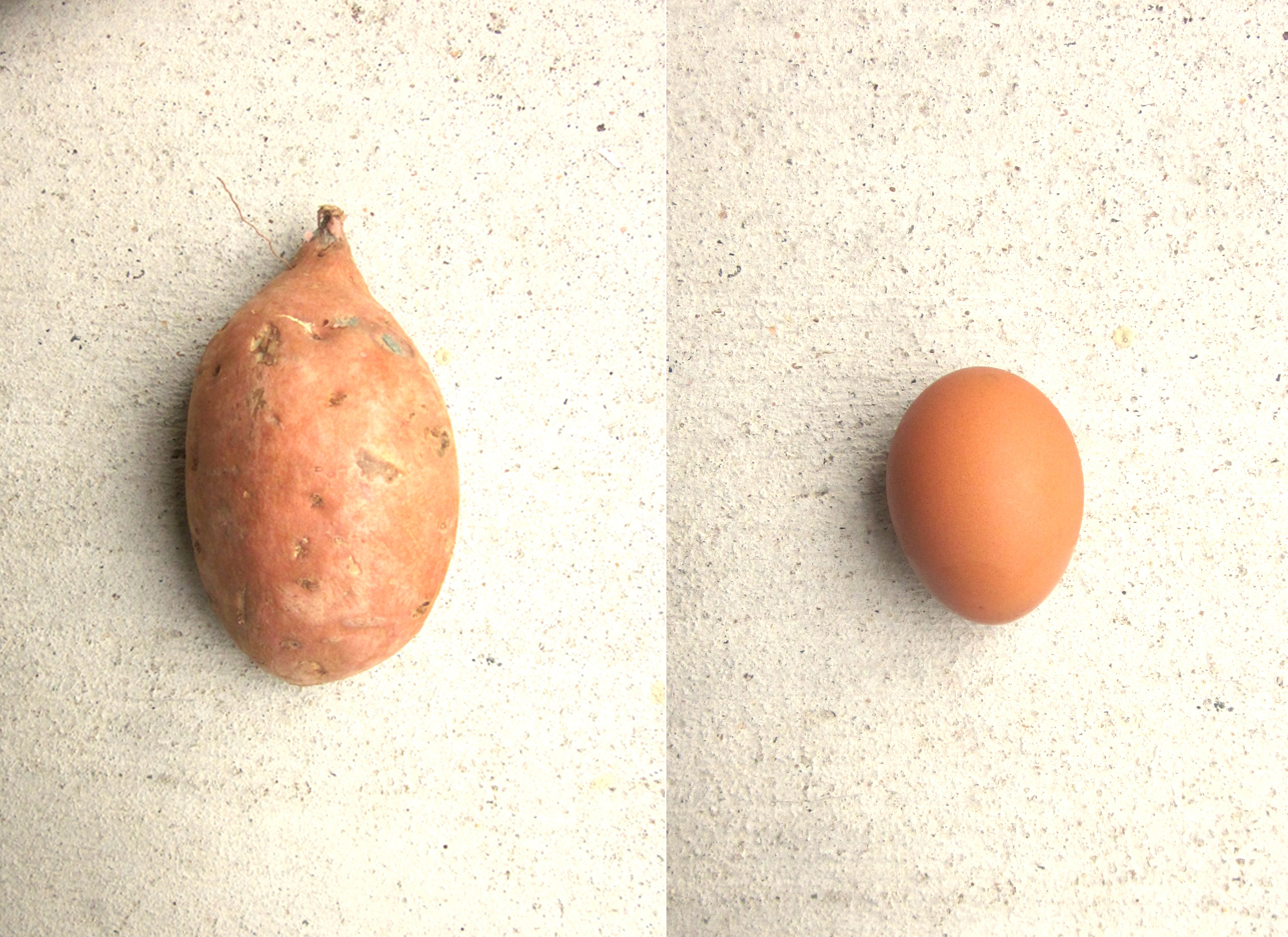 2-Ingredient Sweet Potato Fritters: Potato and Egg