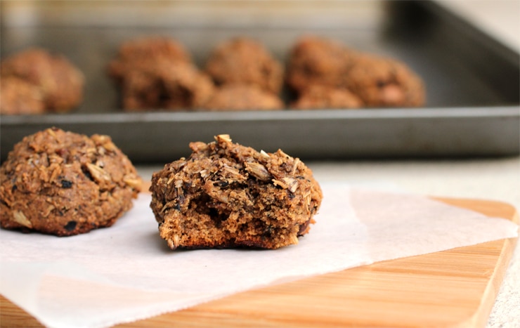 Spent Grain Chocolate Chip Cookies