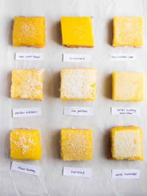 9 different lemon bar squares on a white background with 9 different labels.