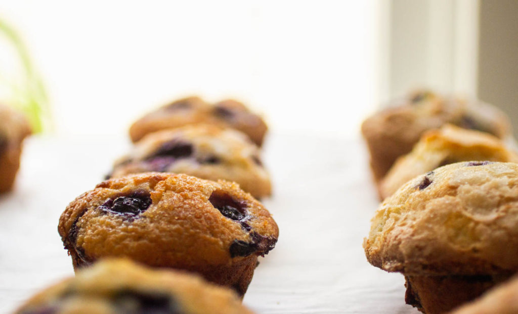 Side view of blueberry muffins lined up on white parchment paper