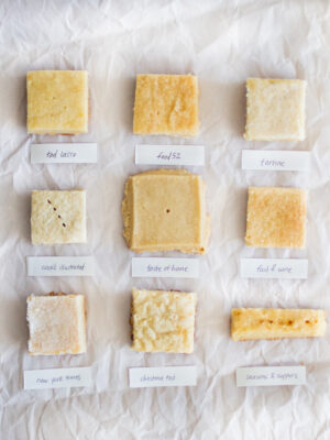 9 squares of shortbread on a gray background