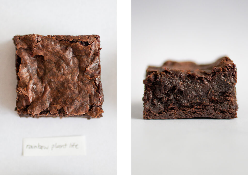 rainbow plant life vegan brownies.
