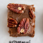a square of chocolate cake with pecans on a white background