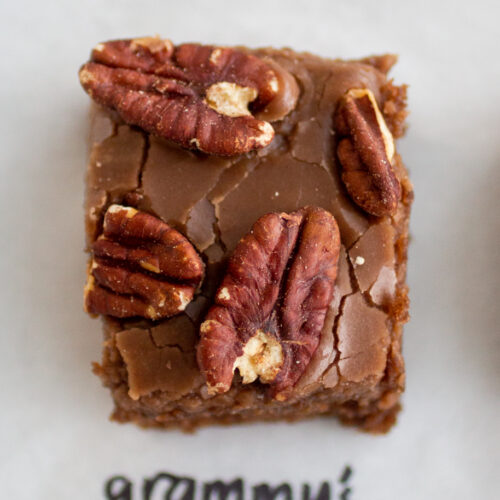 a square of chocolate cake with pecans on a white background.