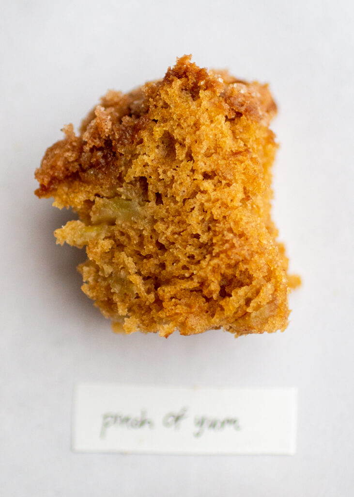 a slice of apple cake with the label \"pinch of yum\" on a gray background.