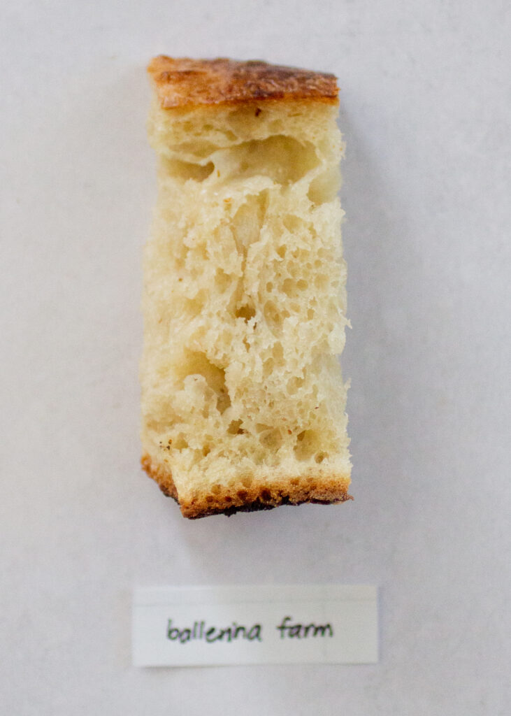 Ballerina Farm sourdough bread.