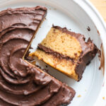 A chocolate-frosted peanut butter cake with a slice on its side to show the close crumb.