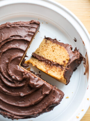 A slice of peanut butter cake on its side.