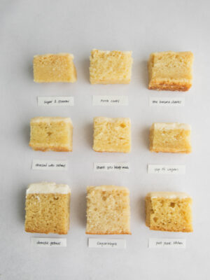 9 slices of different vanilla cake recipes on a gray background.